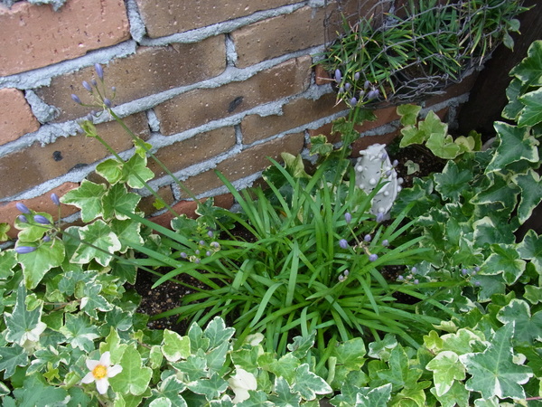 b0194267_2054211.jpg