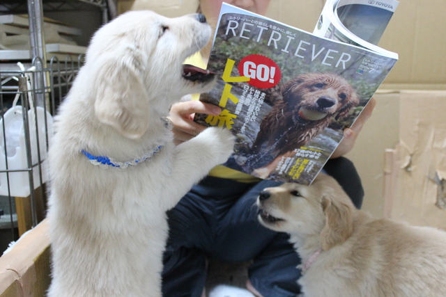 ＲＥＴＲＩＥＶＥＲ♡_a0220681_19294419.jpg