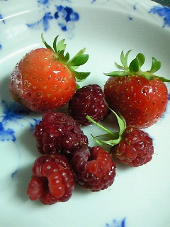 e0075483_19113759.jpg