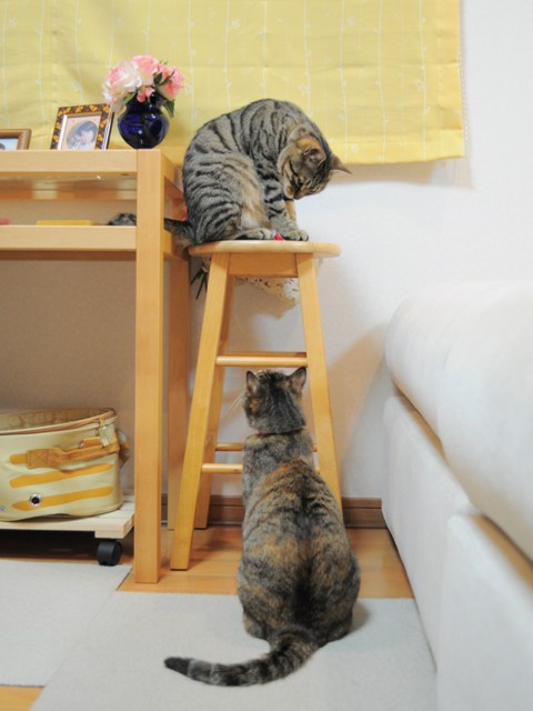驚いた!_a0126590_134620.jpg