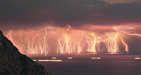 f0001993_12174076.gif