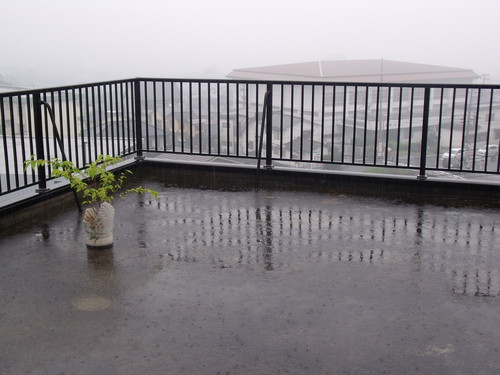 c0017802_1610594.jpg