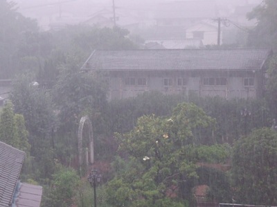 c0017802_1692991.jpg
