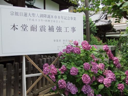 f0120102_13552164.jpg