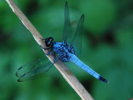 f0147602_14351912.jpg