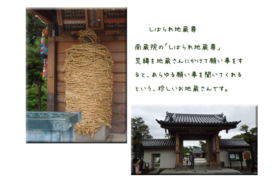 水元公園と本土寺をウォーキング_c0051105_138107.jpg