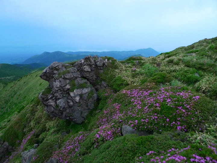 a0097006_10344589.jpg