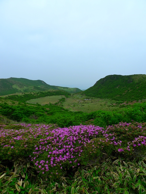 a0097006_10393130.jpg