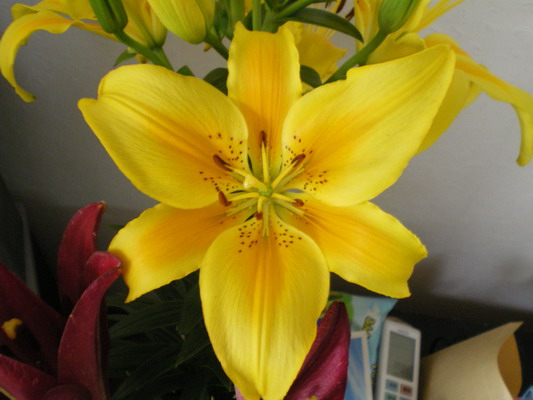 c0137507_8441124.jpg