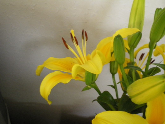 c0137507_845656.jpg