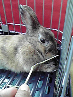 f0038407_132125.jpg