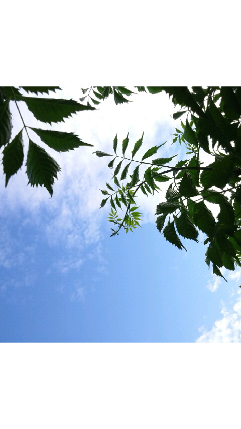 爽やかな晴天_f0155808_2132170.jpg