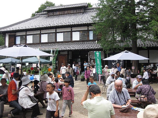 べに花_a0138609_851483.jpg