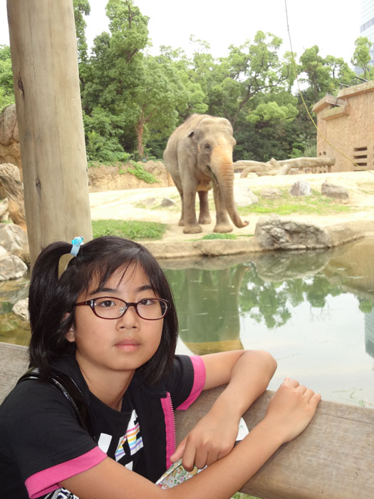 天王寺動物園！！_e0077010_19212335.jpg