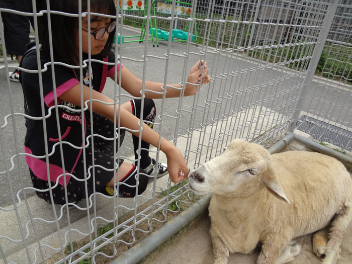 天王寺動物園！！_e0077010_19285523.jpg