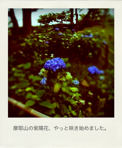 b0183911_2353219.png