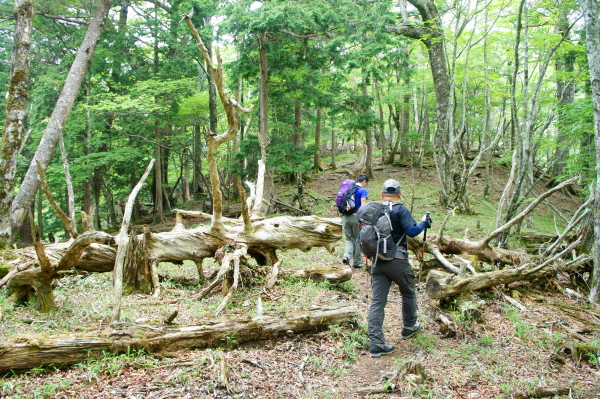 b0244811_22274776.jpg