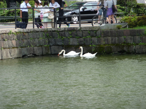 b0087914_2394012.jpg