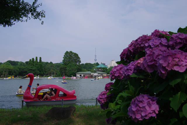 a0012319_1917388.jpg