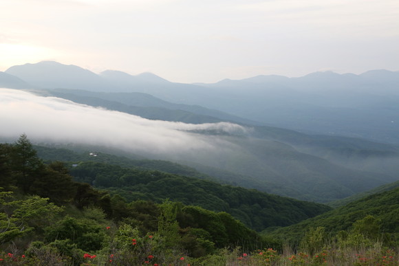 b0179023_222342.jpg