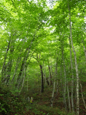b0147224_22542362.jpg