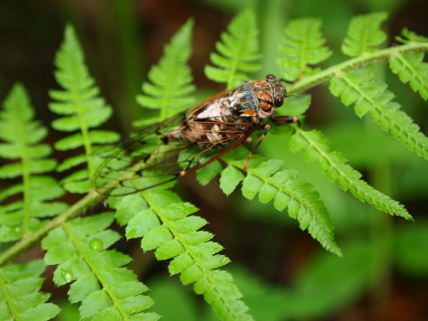 b0147224_23172384.jpg
