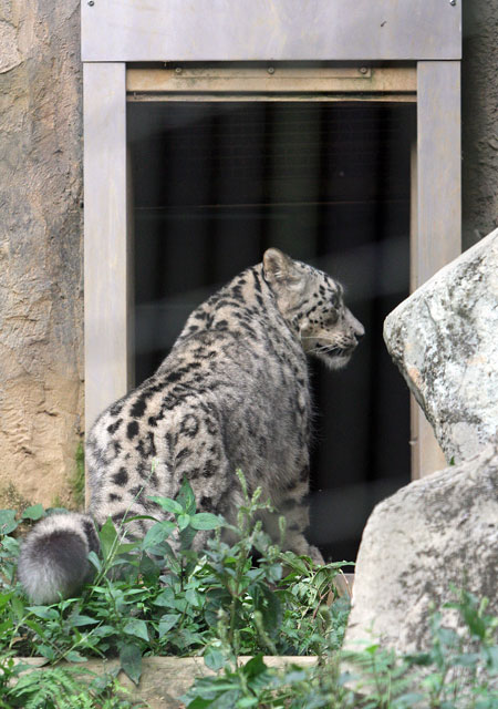 f0224624_143434.jpg