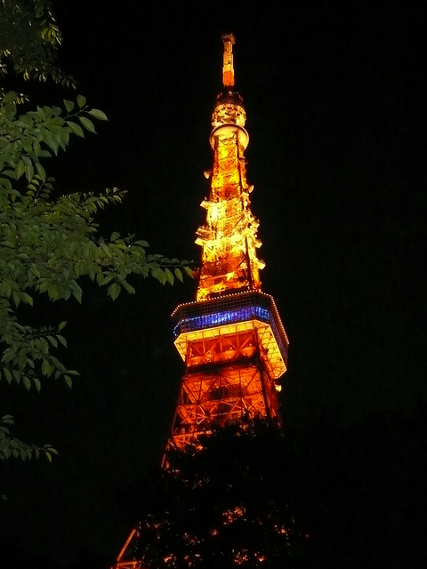東京タワーの展望台_e0237625_23491865.jpg