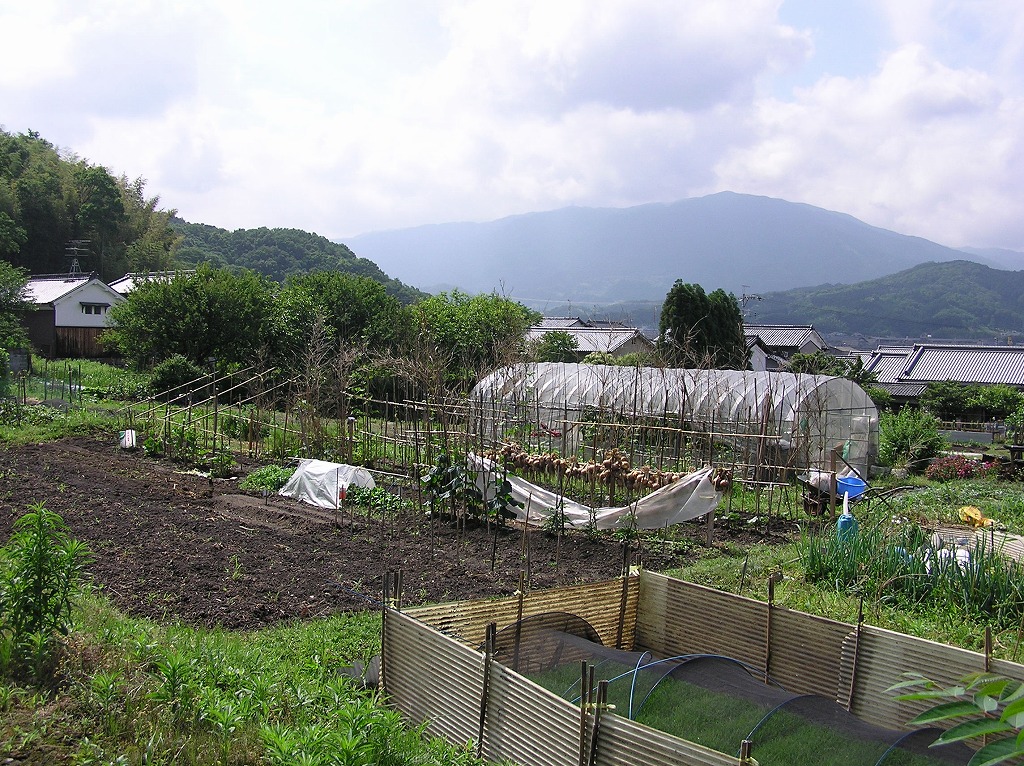 万葉集その三百七十七(山の辺の道：敷島の大和)_b0162728_739218.jpg