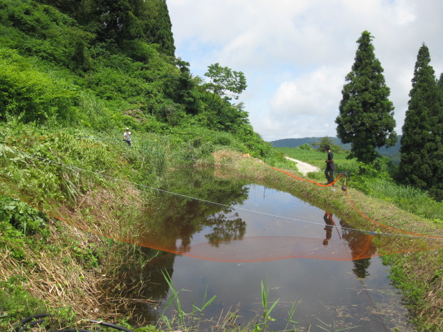 f0214235_020312.jpg