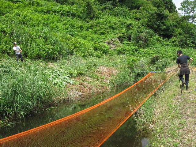 f0214235_025556.jpg