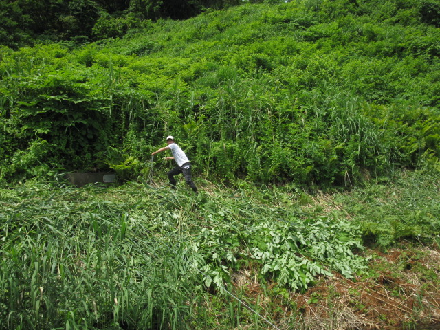 f0214235_0301644.jpg