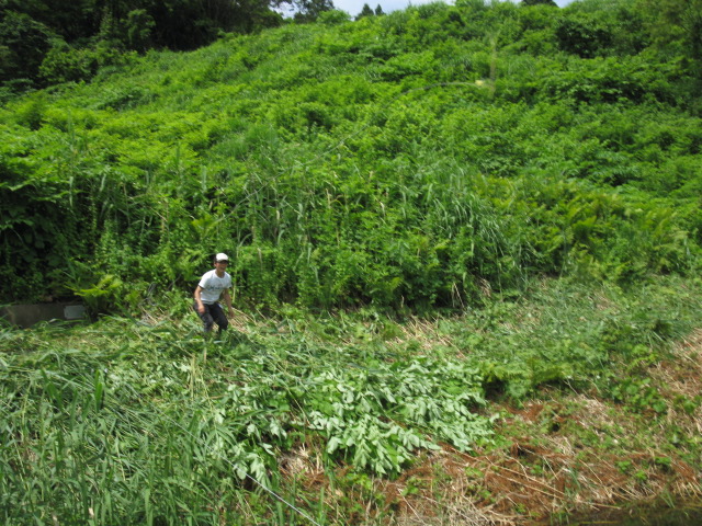 f0214235_0302350.jpg