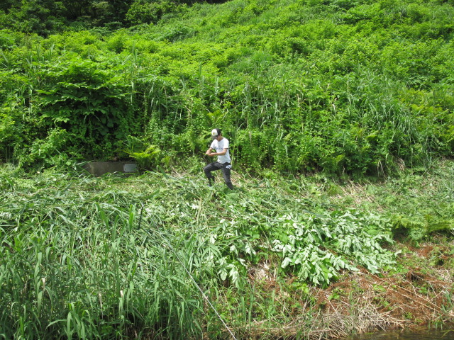 f0214235_030948.jpg