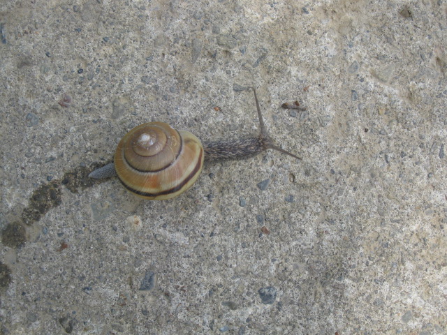f0214235_0482544.jpg