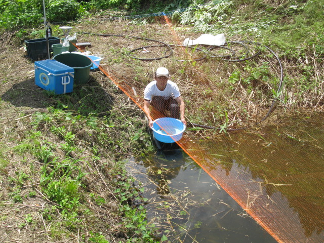 f0214235_1114536.jpg