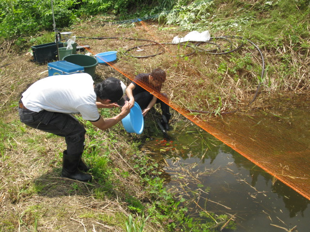 f0214235_1211565.jpg