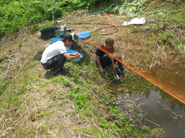 f0214235_123376.jpg