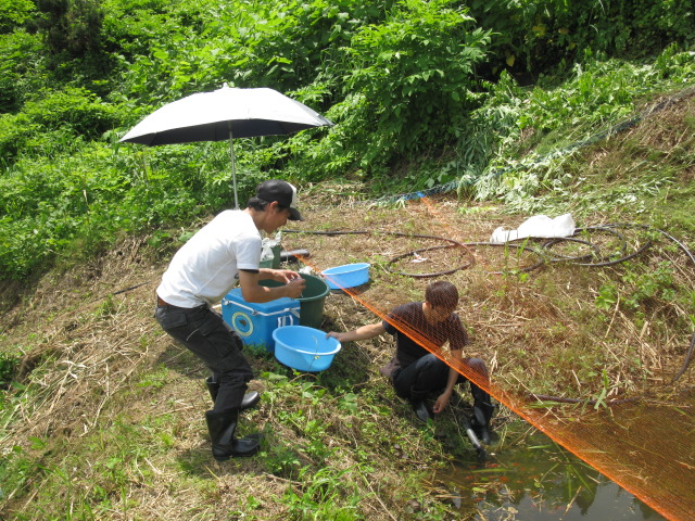 f0214235_123764.jpg