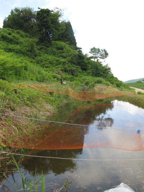 f0214235_1561715.jpg
