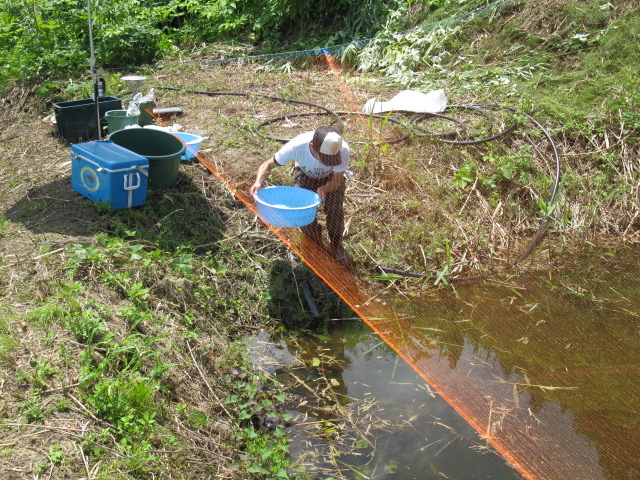 f0214235_19211.jpg