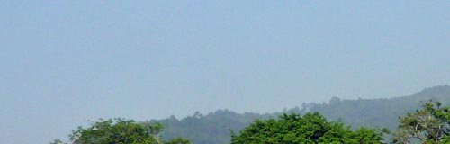 b0063436_1419045.jpg