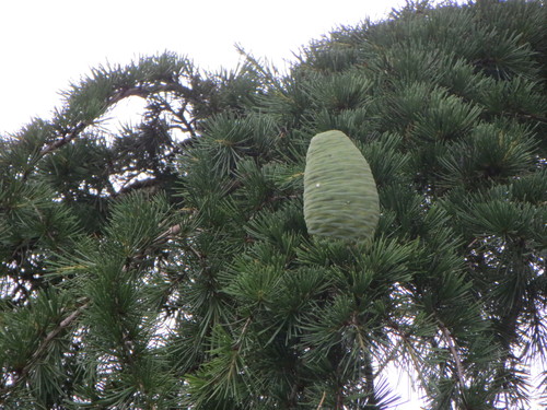 e0259738_7162551.jpg