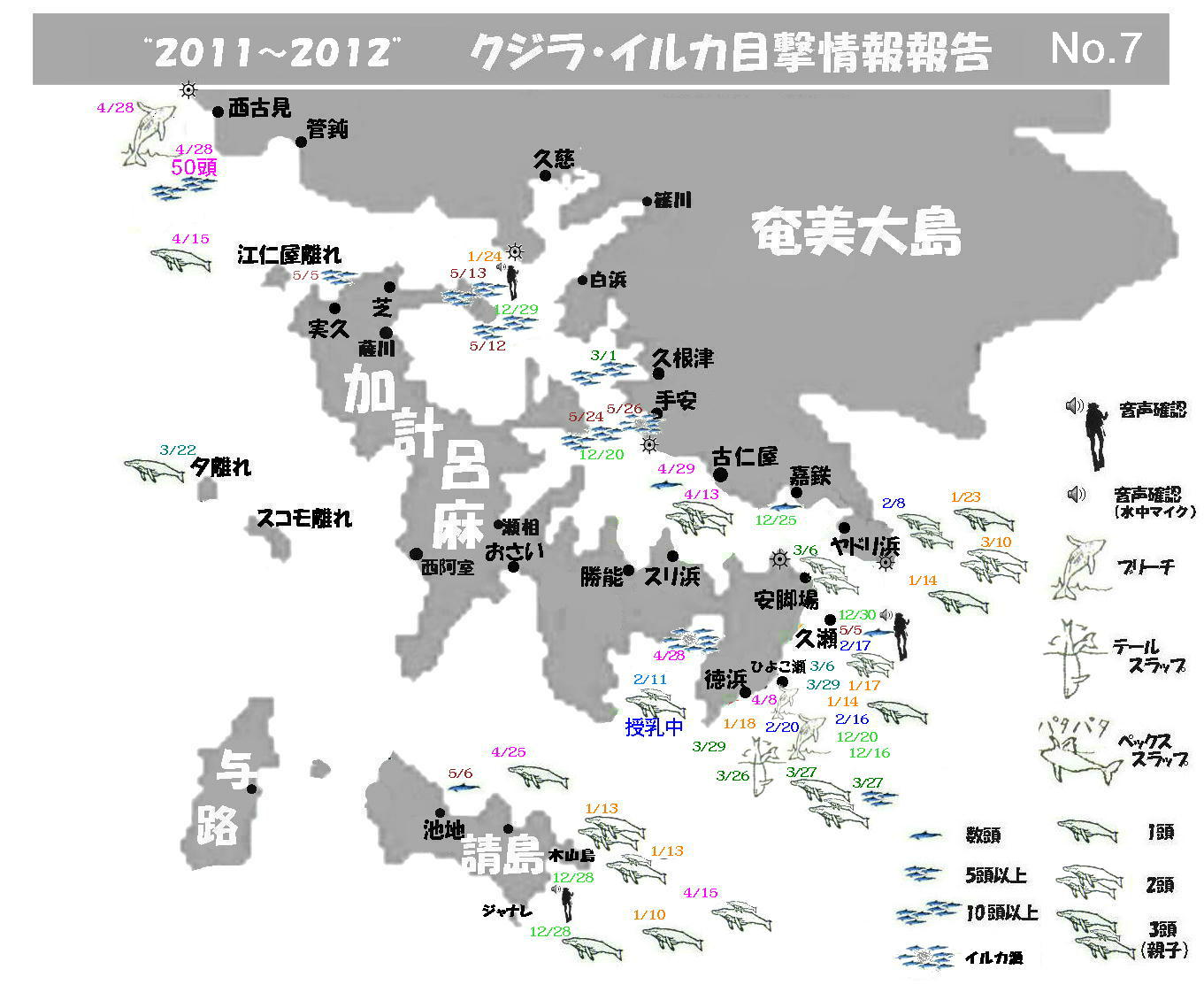 2011~2012クジラ・イルカ目撃情報集計_f0062839_2153142.jpg