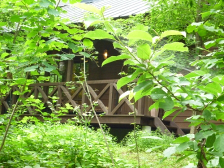 c0237143_17443625.jpg