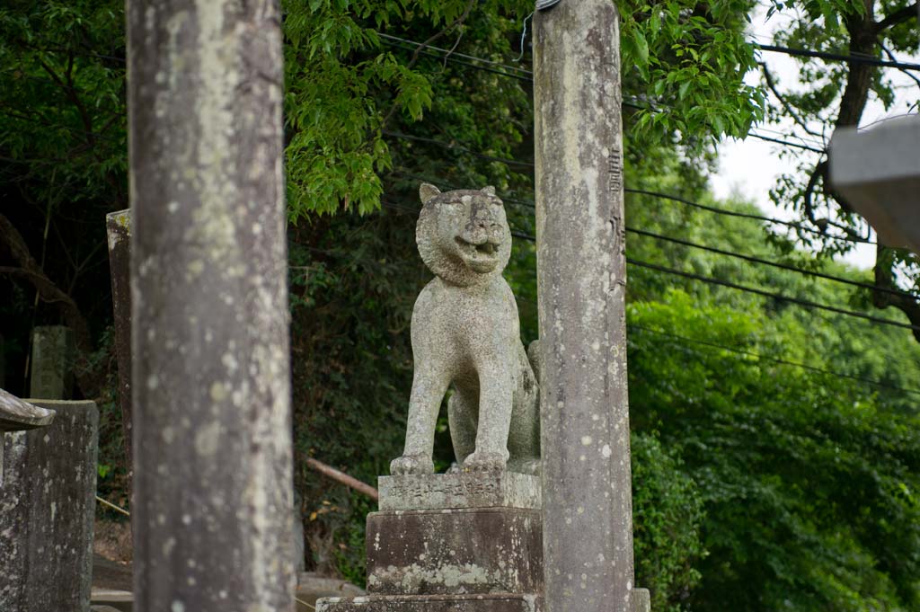 ◆本妙寺_b0023047_5395315.jpg