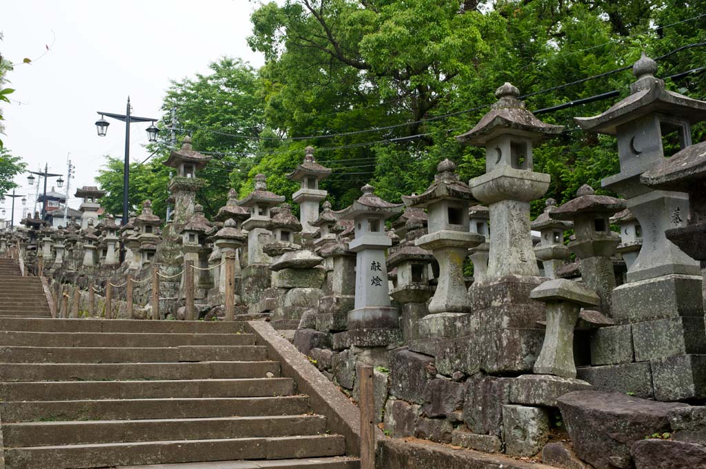 ◆本妙寺_b0023047_5401320.jpg