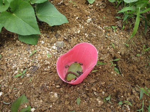f0079749_9311036.jpg