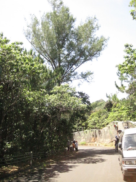 a0254759_21595059.jpg