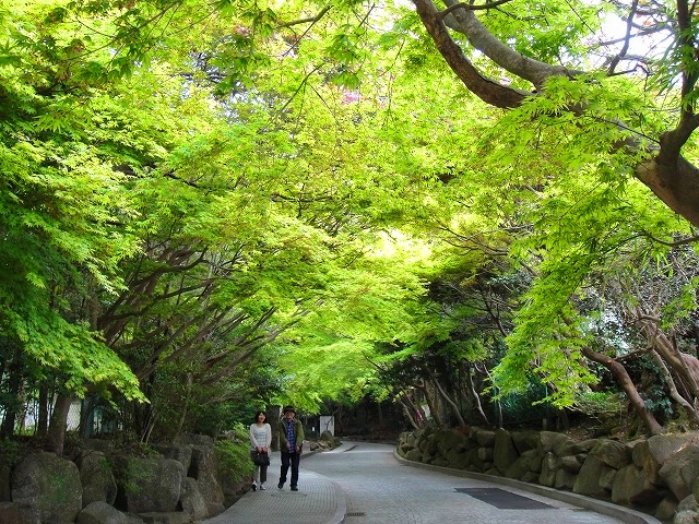 ＜2012年７月＞鎌倉・湘南探訪（その３）：映画・文学の都、鎌倉の風景 _c0119160_15522.jpg